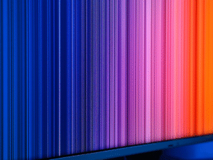 Choix palette de couleurs : sélection harmonieuse et professionnelle pour identité visuelle unique.